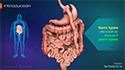 Digestive health illustration