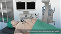 Digestive system medical illustration